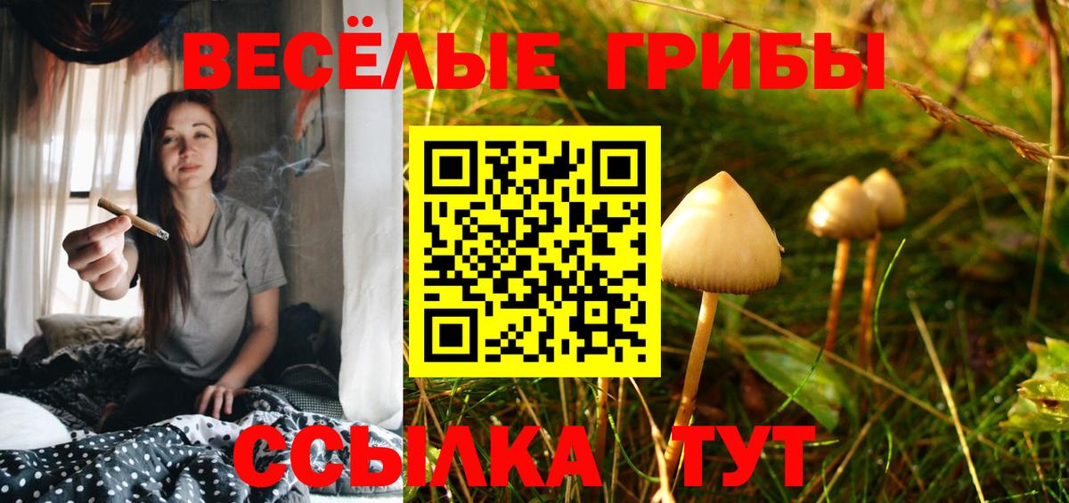 Ялуторовск  Галлюциногенные грибы Magic Shrooms  Вход с VPN 